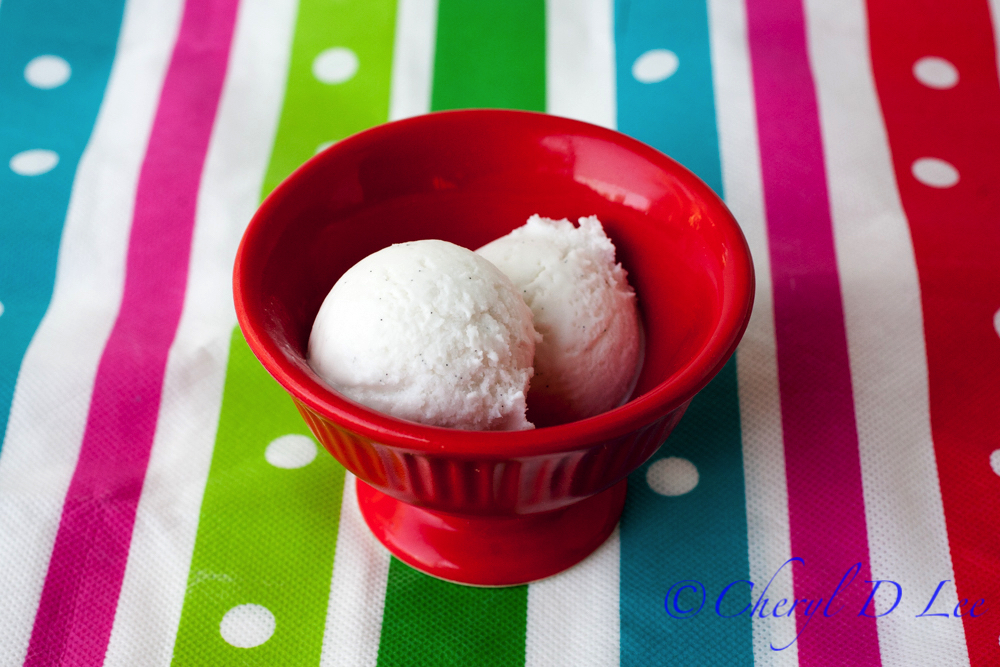 Vegan 3 Ingredient Coconut Milk Ice Cream