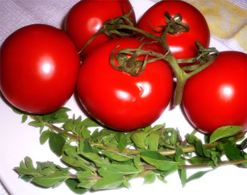 Fresh tomatoes and oregano