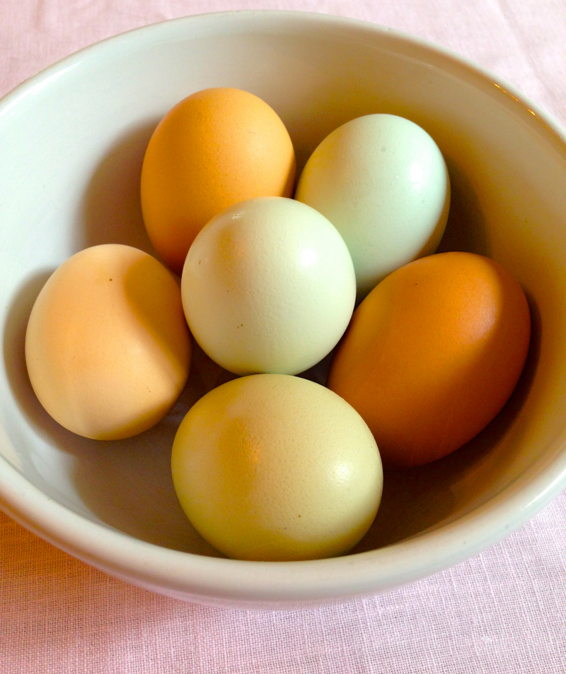 Free Range and Organic Chicken Eggs | Black Girl Chef's Whites